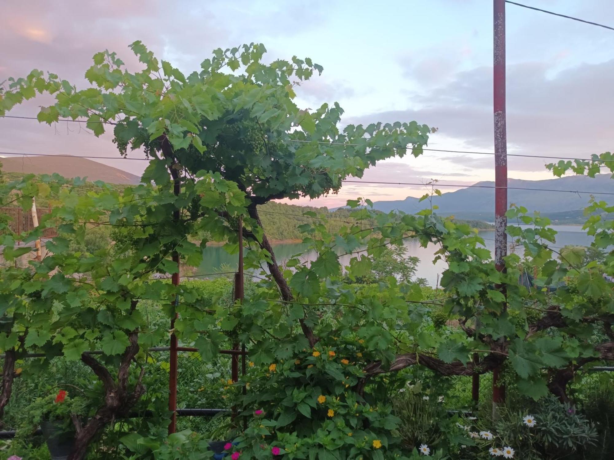 Brnara Kravarica Vrlika Bagian luar foto